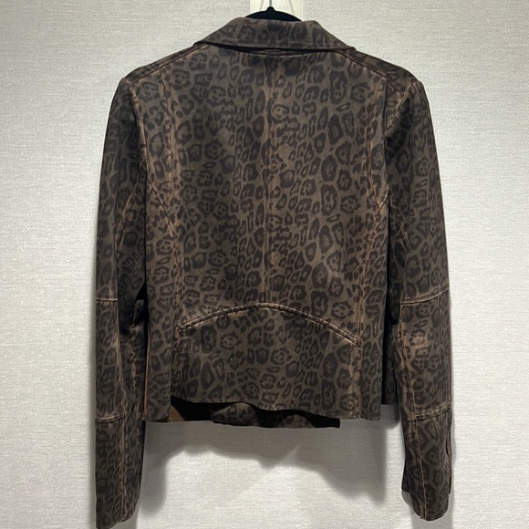 MARRAKECH Leopard Moto - Picture 3 of 4